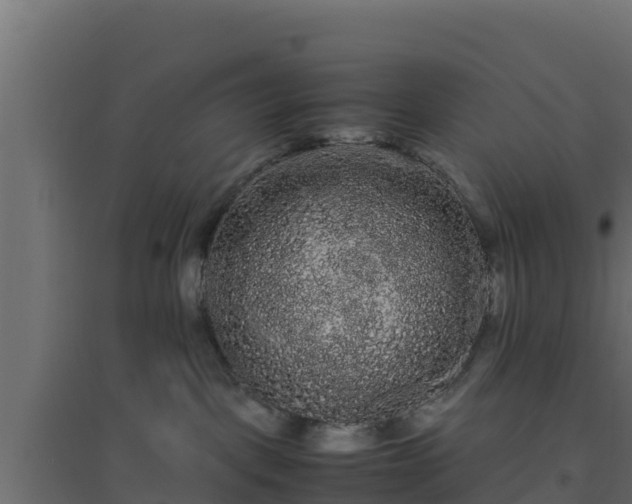 X0000094820093200711241518