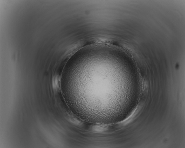X0000094820094200711241518