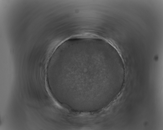 X0000094820097200711241517
