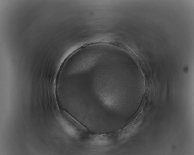 X0000094820100200711241517