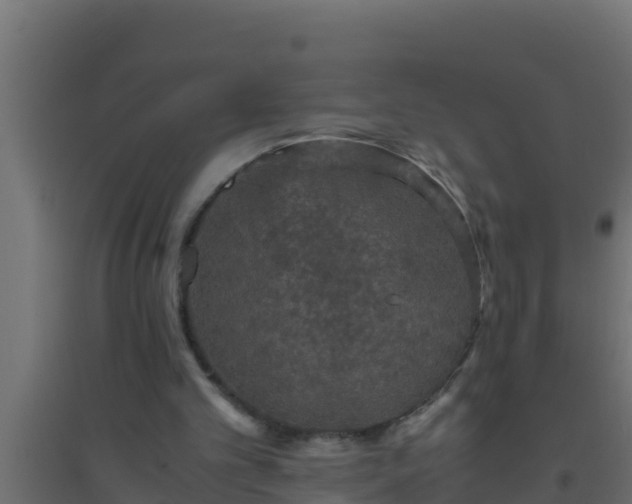 X0000094820101200711241517