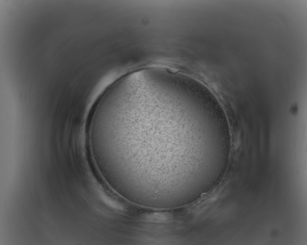 X0000094820102200711241517