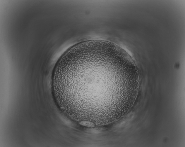 X0000094820103200711241517