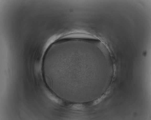 X0000094820104200711241517