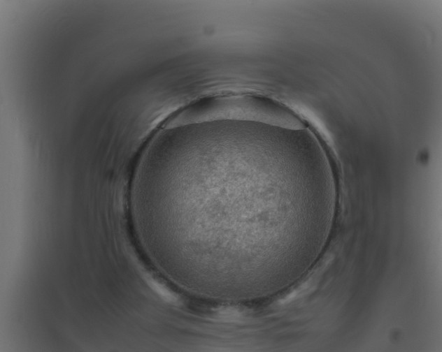 X0000094820105200711241517