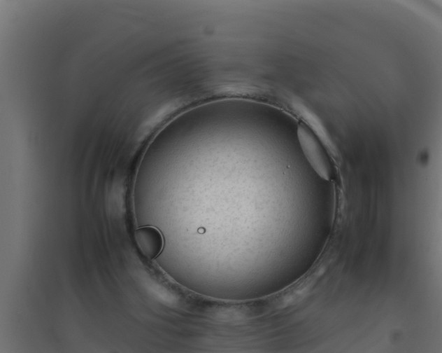X0000094820106200711241517