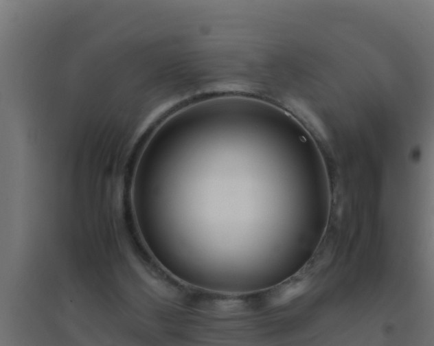 X0000094820108200711241517