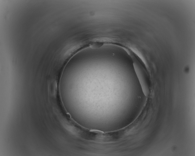 X0000094820109200711241517