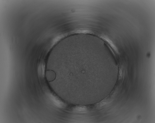 X0000094820110200711241517