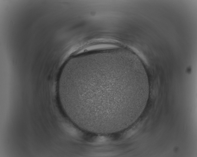 X0000094820111200711241517