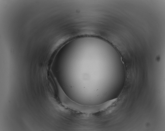 X0000094820112200711241517