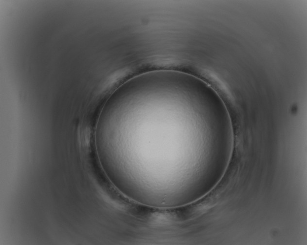 X0000094820115200711241517