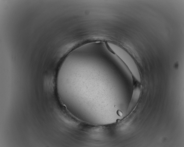 X0000094820116200711241517