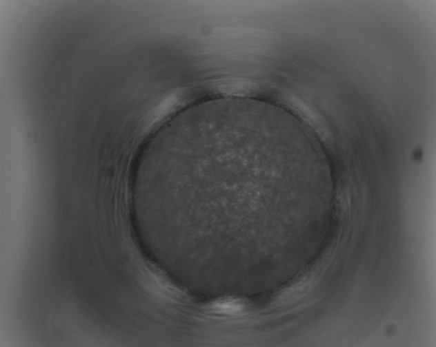X0000094820117200711241517