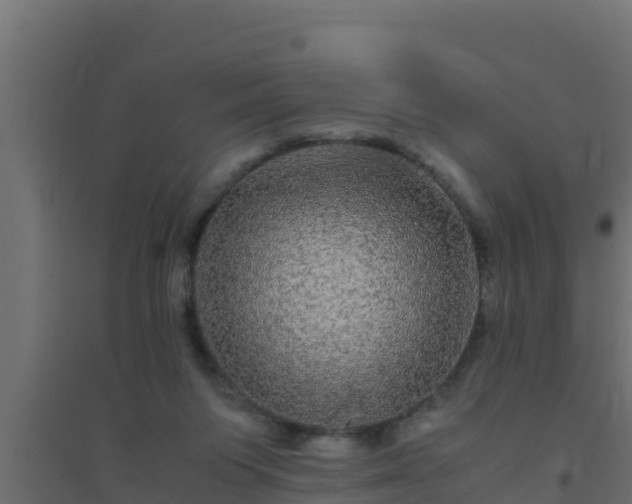 X0000094820119200711241517