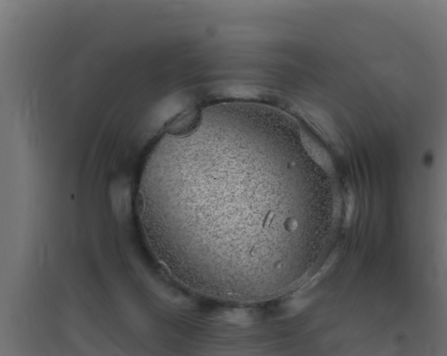 X0000094820120200711241517