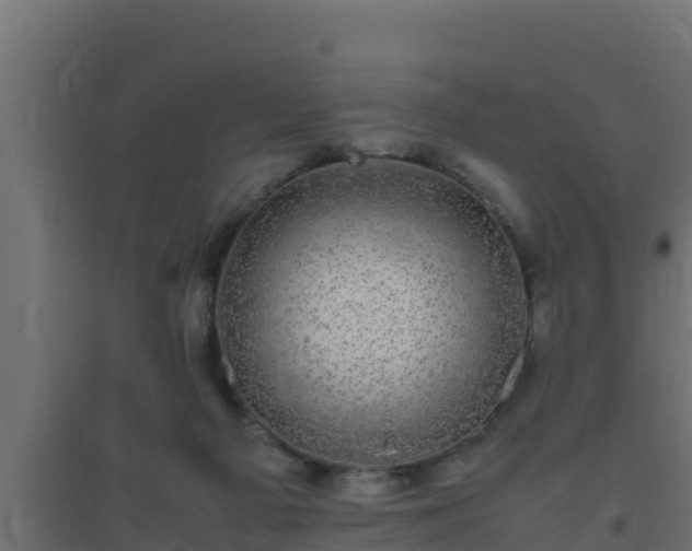 X0000094820121200711241517