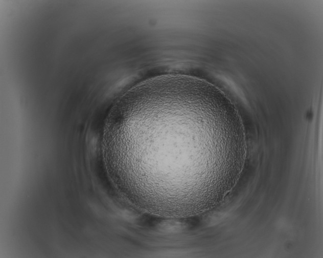 X0000094820123200711241517