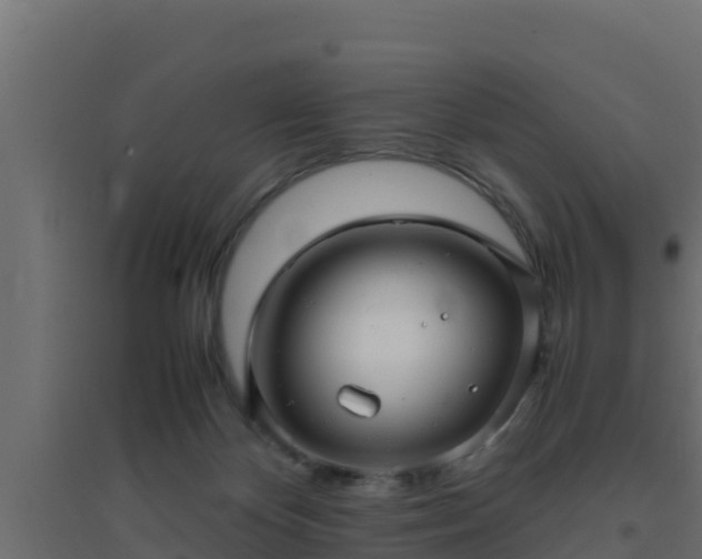 X0000094820124200711241516