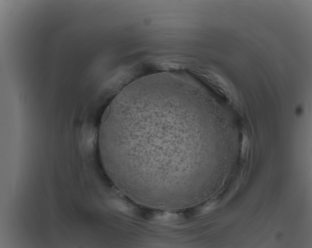 X0000094820125200711241516