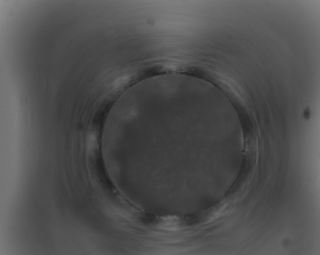 X0000094820127200711241516