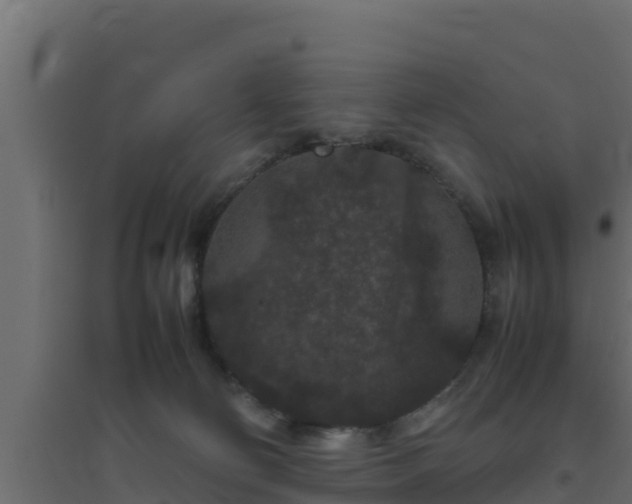 X0000094820130200711241516