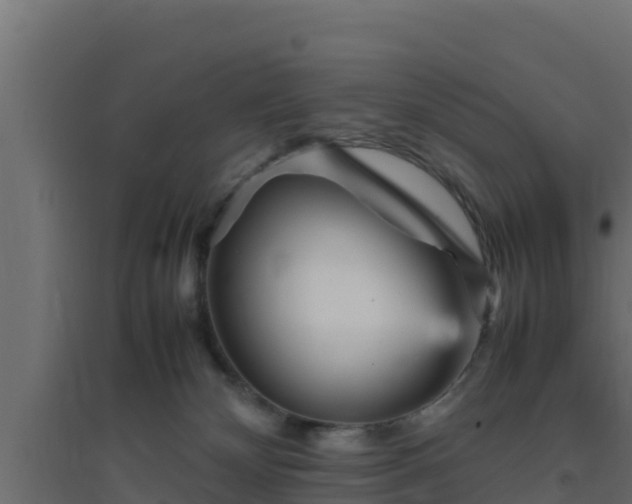 X0000094820132200711241516