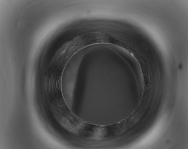 X0000094820143200711241516