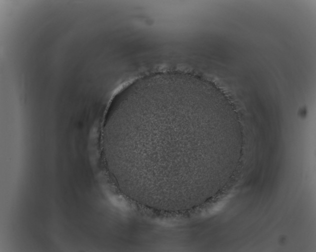 X0000094820144200711241516