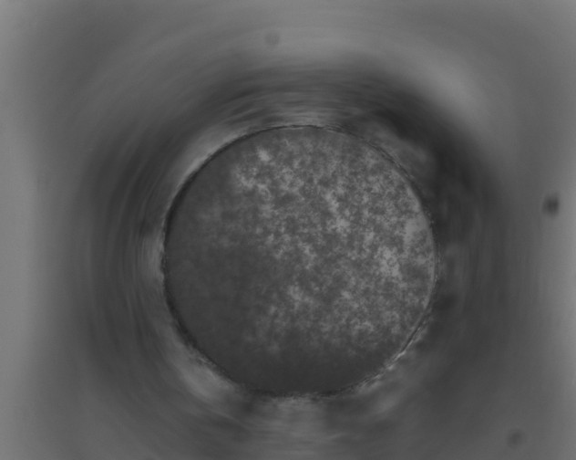 X0000094820146200711241516