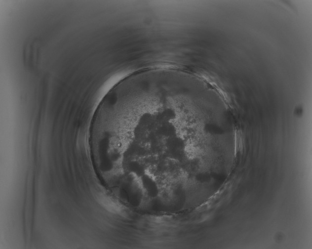 X0000094820147200711241516