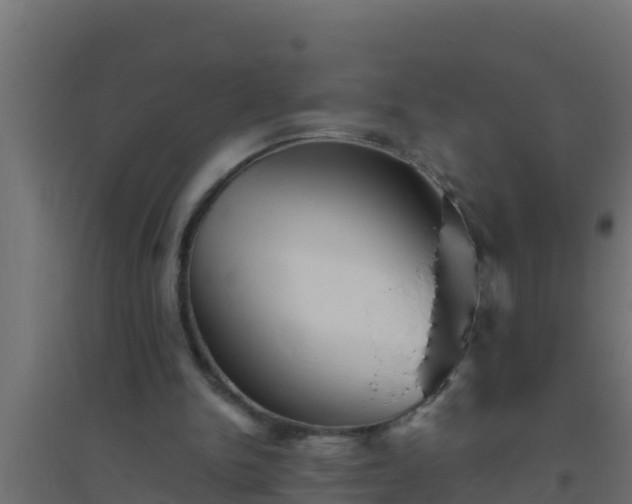 X0000094820150200711241516
