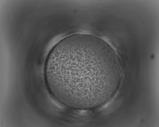 X0000094820151200711241516