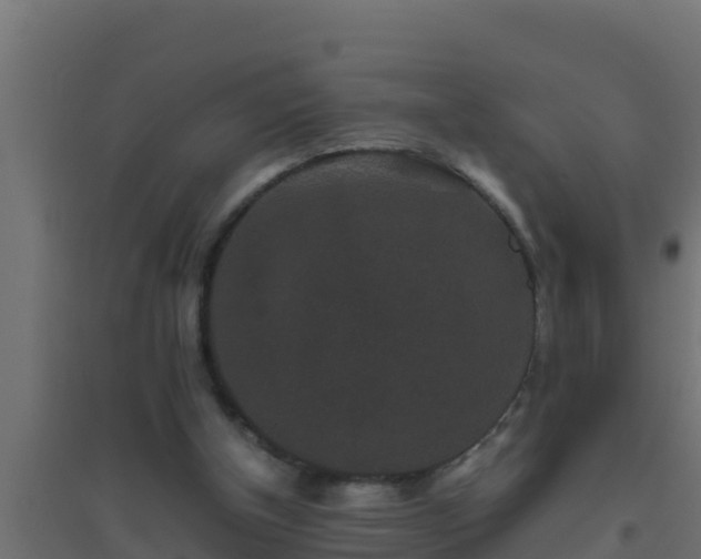 X0000094820154200711241516