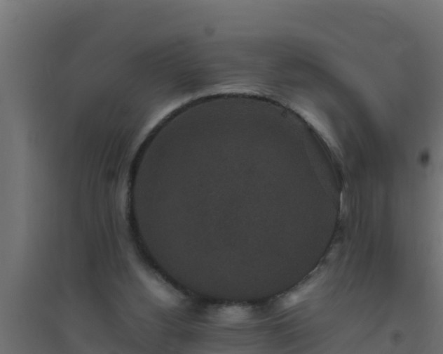 X0000094820156200711241516