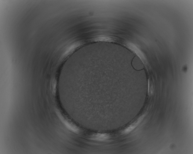 X0000094820157200711241516