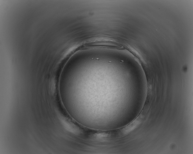 X0000094820158200711241516