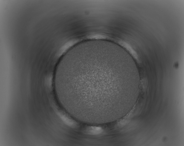 X0000094820159200711241516