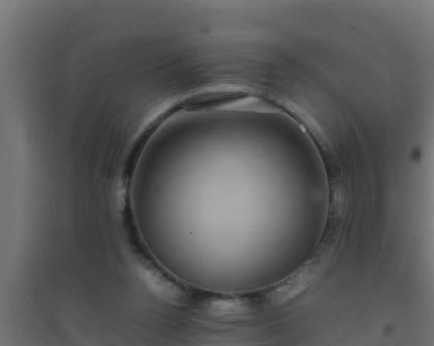 X0000094820160200711241516