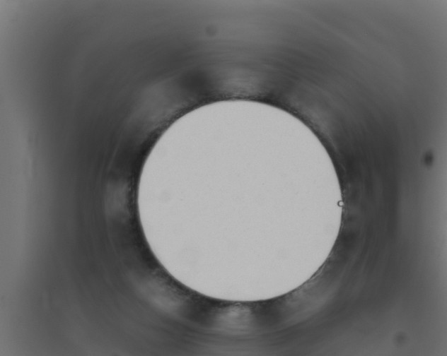 X0000094820162200711241516
