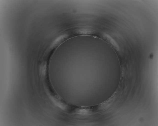 X0000094820163200711241516