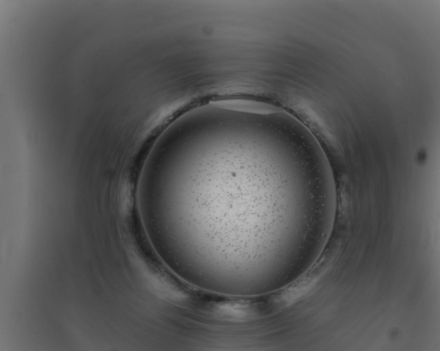 X0000094820164200711241516