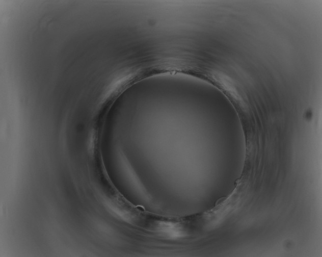 X0000094820167200711241516