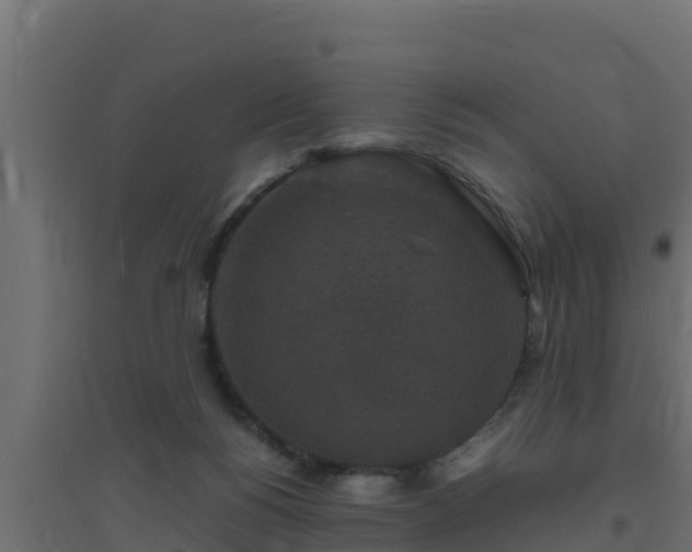 X0000094820168200711241516