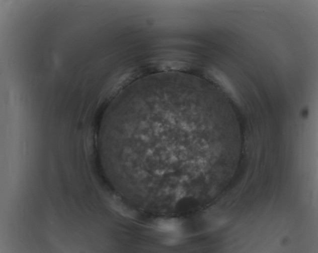 X0000094820169200711241516