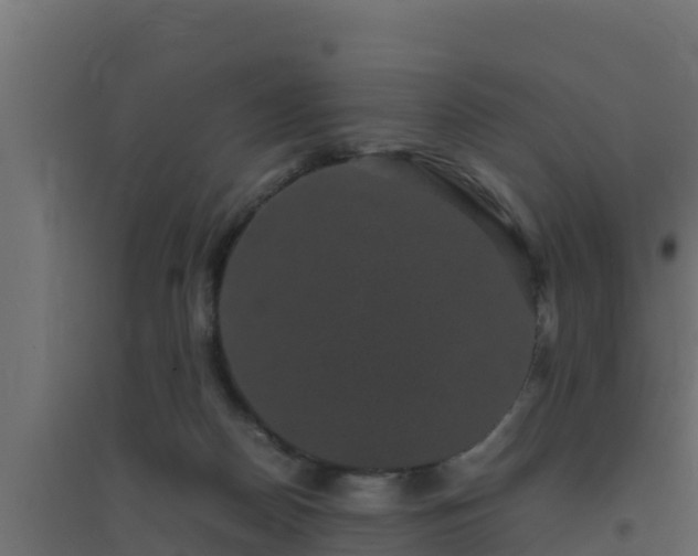 X0000094820170200711241516