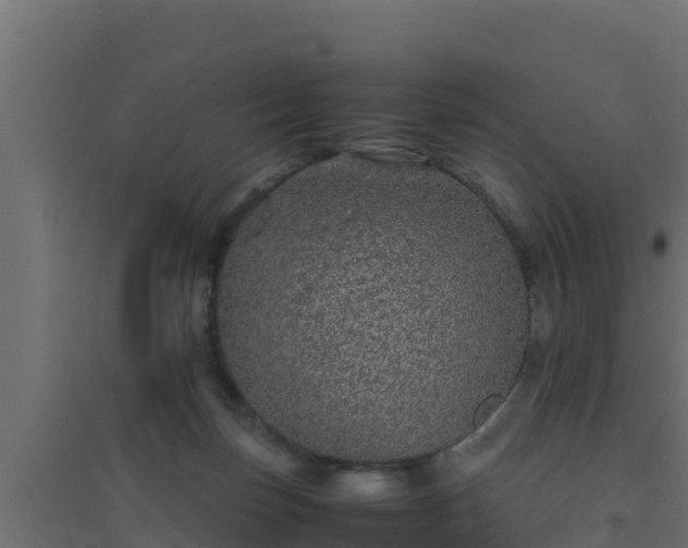 X0000094820171200711241516