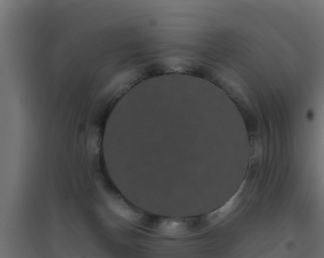 X0000094820174200711241516
