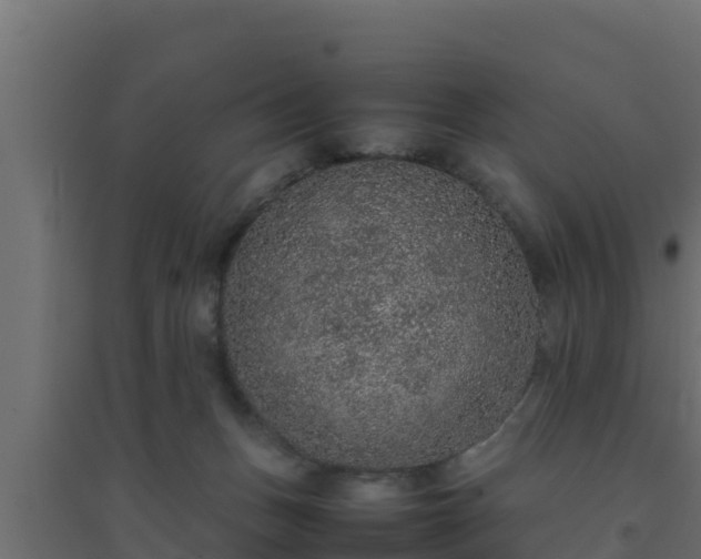 X0000094820175200711241516