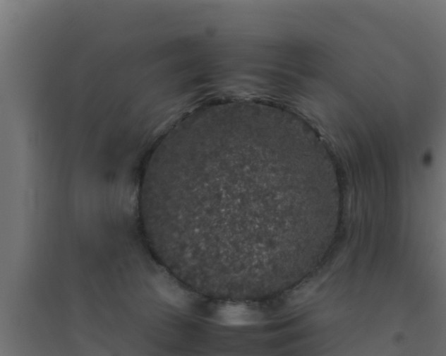 X0000094820177200711241516